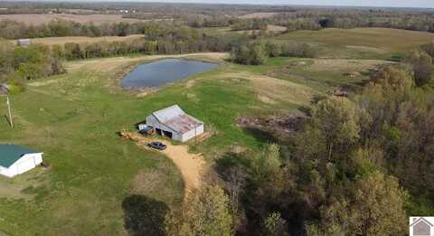 000 St Rt 339 S, Fancy Farm, KY 42039