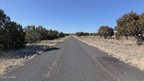 0 Clubhouse Lane Lot 1 BK 115, Concho, AZ 85924