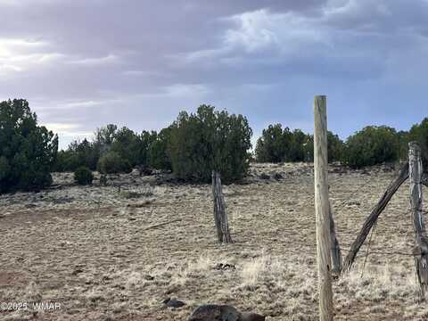 9058 Pinto Trail, Show Low, AZ 85901