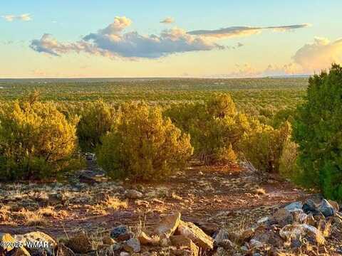0 W Weber Way Lot B 5 Acres, Show Low, AZ 85901