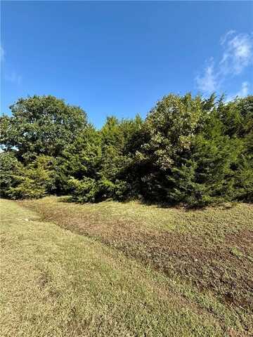 Lot 60 Lodge DR, Garfield, AR 72732