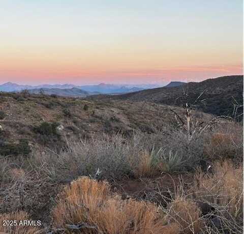 10xx E Horseshoe Springs Road, Globe, AZ 85501