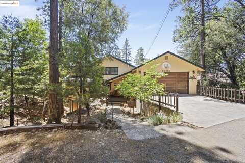 18861 Lookout Dr, Twain Harte, CA 95383