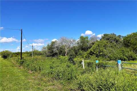 County Road 3067 & CR 2200, Taft, TX 78390