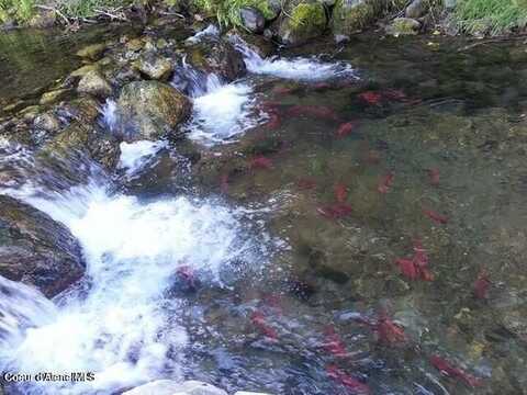Unit 2 BLK 9 Lot 4, Bayview, ID 83803