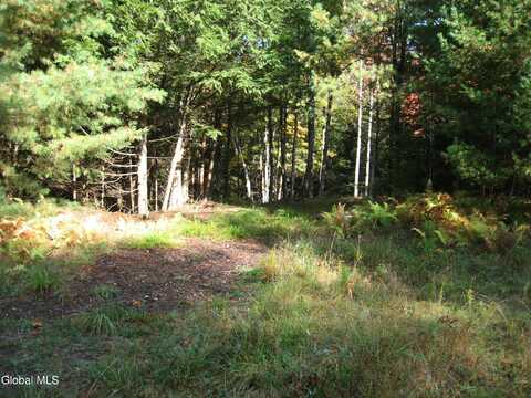 14 Granite Ridge Road, Chestertown, NY 12817