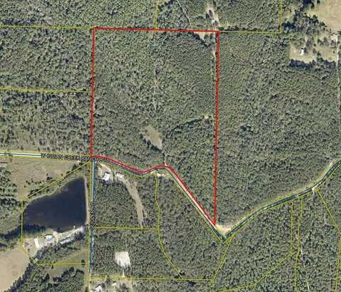 48 Acres Indian Creek Ranch Road, DeFuniak Springs, FL 32435