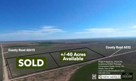 Langley Tract 2 40acre, Estancia, NM 87016