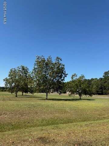 42 Cordgrass Pointe Road, Bath, NC 27808
