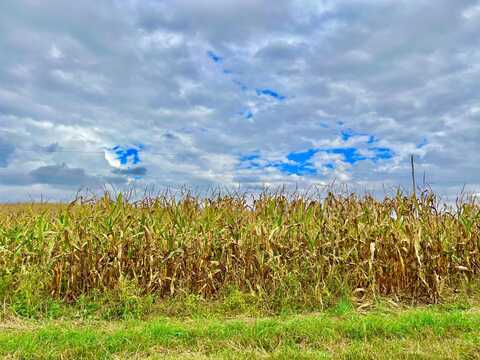 0 Crampton Road, Hillsdale, MI 49242