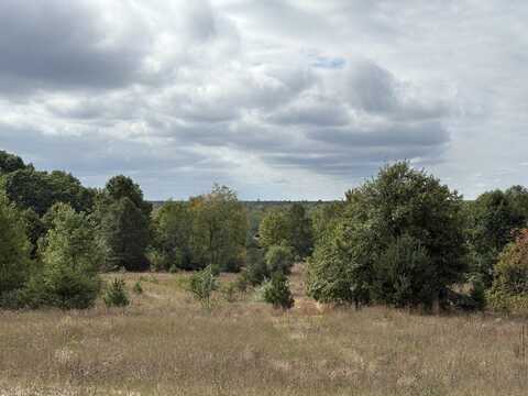 7267 S Snyder Road SW, Fife Lake, MI 49633