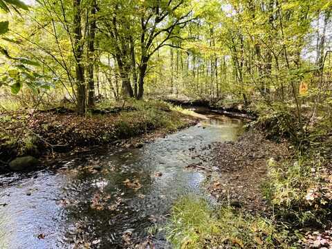 18303 2 Mile Road, Morley, MI 49336