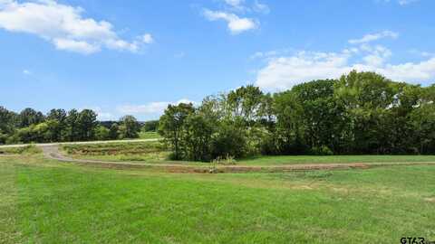 16622 Caeli Heights, Lot 4, Winona, TX 75792