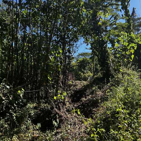 OPAE ST, Pahoa, HI 96778