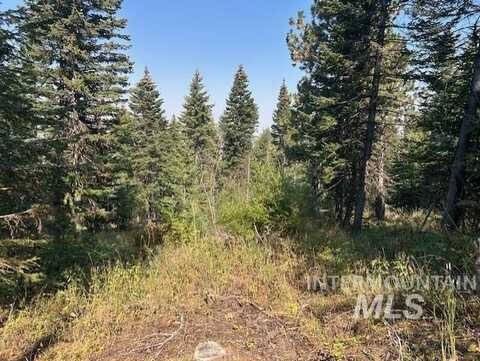Tbd Radar Rd, CottonWood, ID 83522