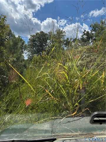 45-11 Turkey Egg Rd, Dinwiddie, VA 23841