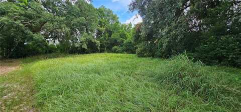 PINE ISLAND DRIVE, LEESBURG, FL 34788