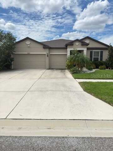 13805 TONYA ANNE DRIVE, RIVERVIEW, FL 33579