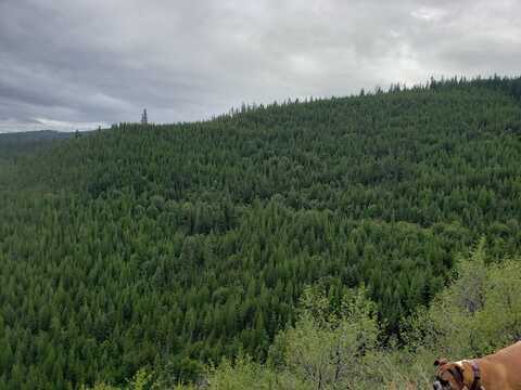 Nine Mile lot: 16, Huson, MT 59846