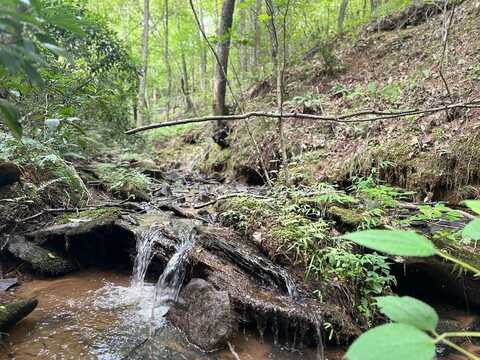 Lot 40 Wolf Creek Estates, Mineral Bluff, GA 30559