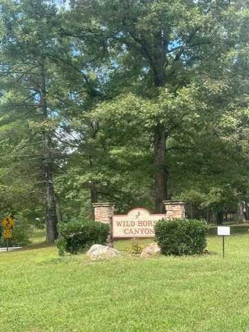 Brumby Run, Blairsville, GA 30512