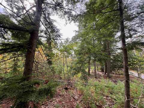00 NH Route 137, Harrisville, NH 03450