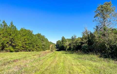 07 Private Road 512, Center, TX 75935