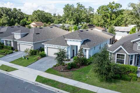 2429 Sirena Lane, Mount Dora, FL 32757