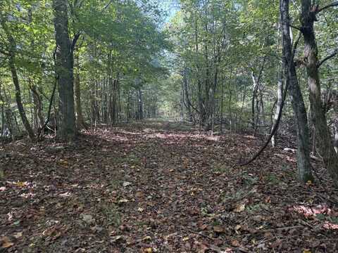 3175 Bunches Chapel Road, Parsons, TN 38363