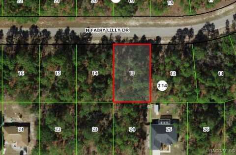 9351 N Fairy Lilly Drive, Citrus Springs, FL 34433