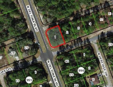 375 W Goldcoast Place, Citrus Springs, FL 34434