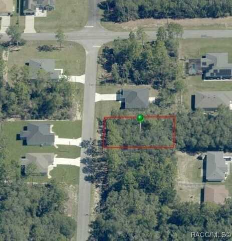 6439 N New Japan Terrace, Dunnellon, FL 34434