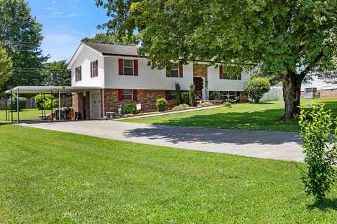 115 County Road 142, Riceville, TN 37370