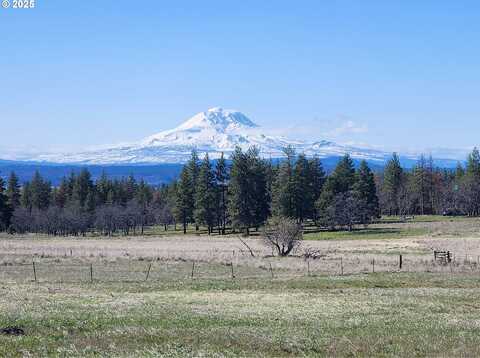 NKA Arabian CT, Centerville, WA 98613