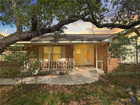 4575 Tanglewood Trail, Spring Branch, TX 78070