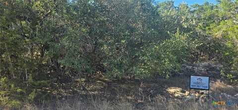 716 Line Camp Loop, Spring Branch, TX 78070