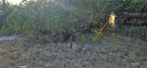 203 Palm, Spring Branch, TX 78070
