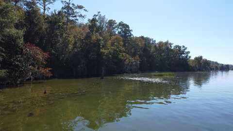 xxx Beardsley Drive, Bainbridge, GA 39819