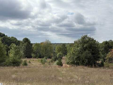 7267 S Snyder Road, Fife Lake, MI 49633