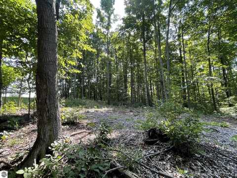 17.3-ACRES N Marsh Road, Kingsley, MI 49649
