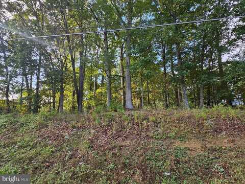 2064 SENSENY ROAD, WINCHESTER, VA 22602