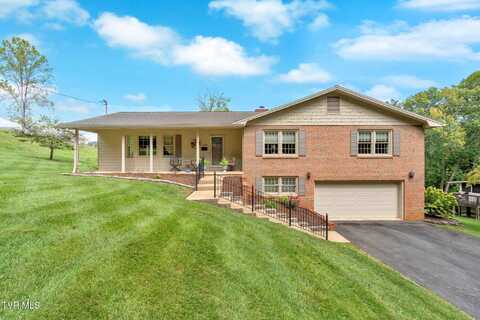 1604 Chickees Street, Johnson City, TN 37604