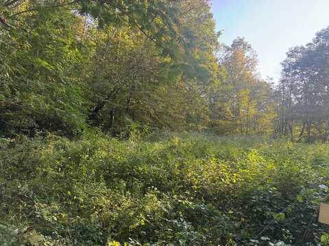 426 P Brewington Rd., COOKEVILLE, TN 38501