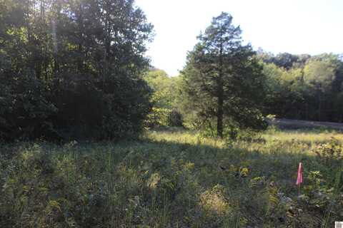 000 Hwy 120, Providence, KY 42450