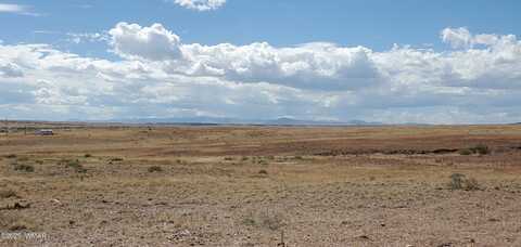 49 County Road 6032, Saint Johns, AZ 85936