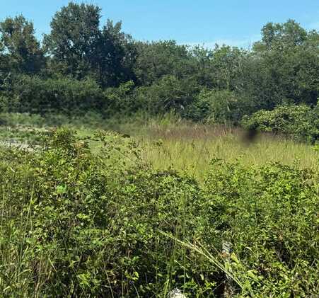 128 Peaceful Place Rd, Caddo Gap, AR 71935