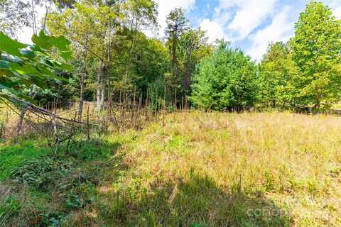 1043 Somersby Parkway, Hendersonville, NC 28739