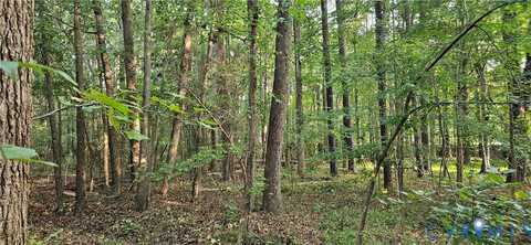 3700 Peachtree Street, South Chesterfield, VA 23834