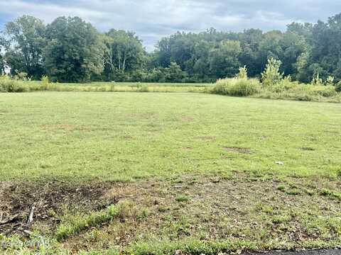 0 Magnolia Road, Tiptonville, TN 38079