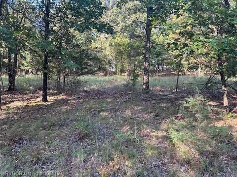TBD Tower RD, Winslow, AR 72959